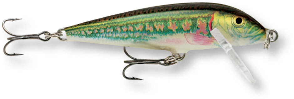 Rapala Countdown® Lure