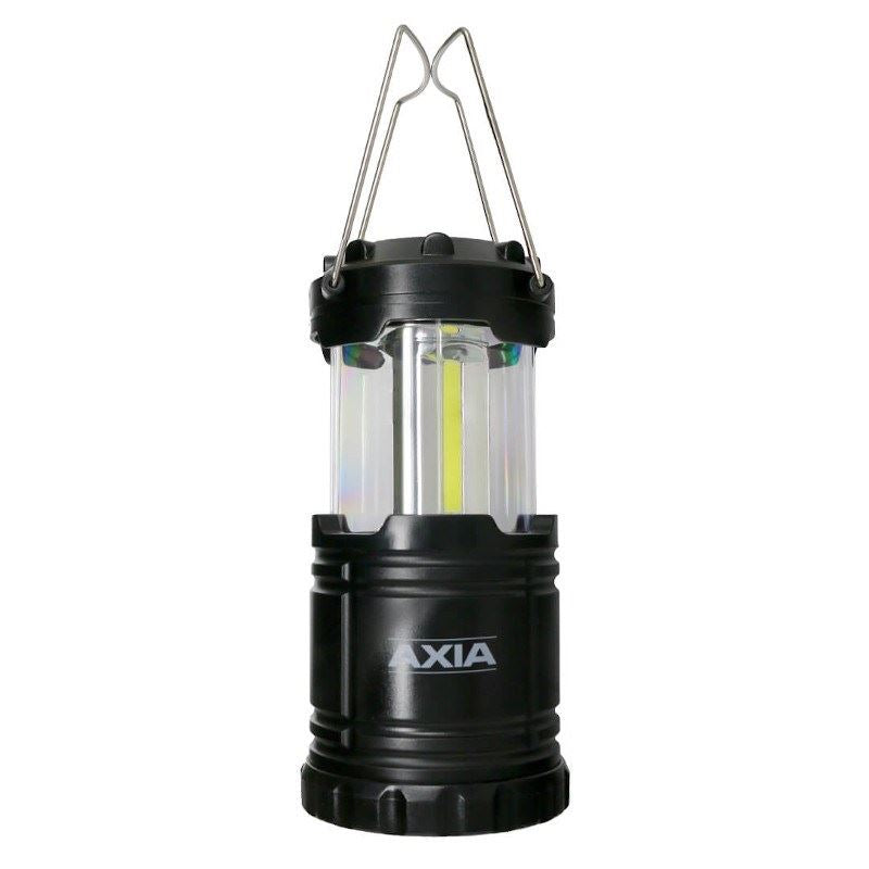 Axia Flood Light